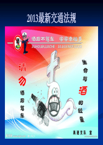 XXXX新交通法规图示解析大全