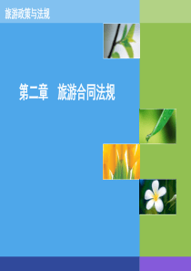 XXXX旅游政策与法规第二章