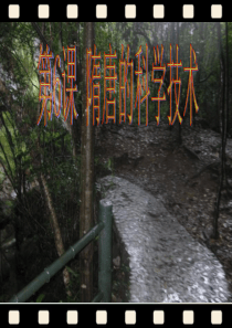 历史：中华书局版七年级下第6课++隋唐的科学技术(共17张PPT)