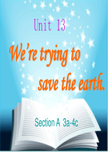 人教版九年级英语下册课件：unit13 We’re trying to save the earth