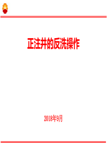 正注井反洗