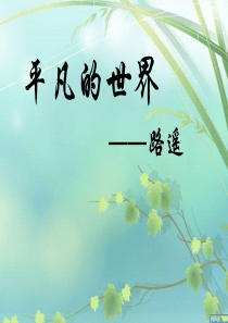 平凡的世界精美ppt