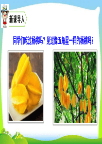 二年级语文下册—13-画杨桃