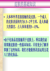 皮肤基础知识
