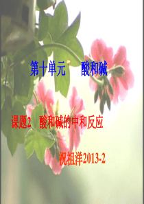 酸和碱的中和反应ppt