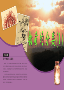 人教版高中化学必修一物质的分类