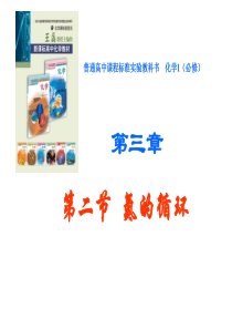 氮的循环