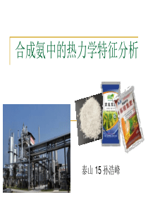 合成氨中热力学问题