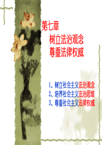 XXXX第七章树立法治观念尊重法律权威