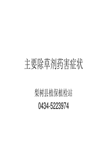 主要除草剂药害症状