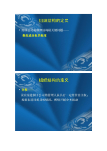 跨国公司管理(组织管理).