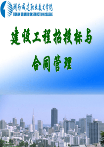 第五章合同法实务