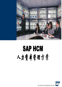 SAP HCM解决方案