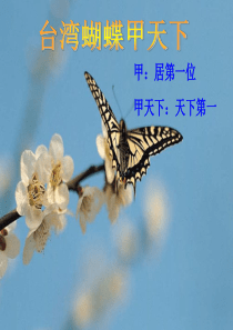 《台湾蝴蝶甲天下》(讲课用)