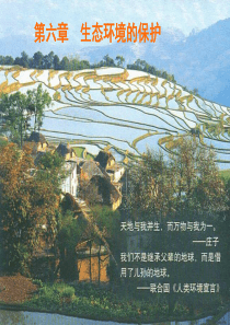 17生态环境的保护