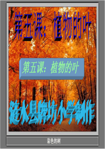 教科版小学科学三年级上册第一单元《植物的叶》课件含(课堂作业)