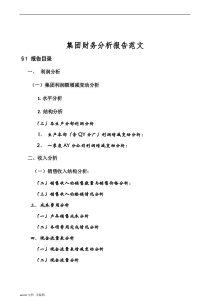 集团财务分析报告范文