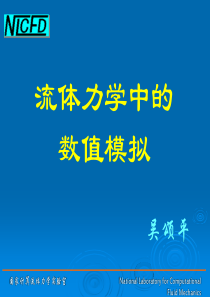 流体力学中的数值模拟