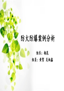 防火防爆案例分析   化工