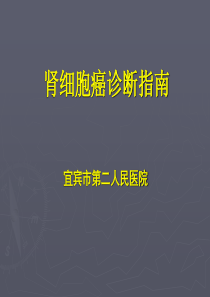 19肾细胞癌诊断治疗指南