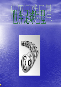 2006年世界足球明星资料