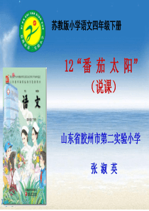 山东胶州二实小张淑英说课