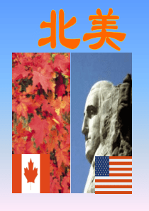 87北美ppt模板