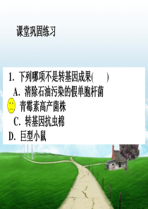《关注生物技术的伦理问题》课件解读
