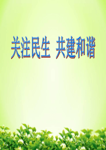 关注民生,共建和谐社会(共29张PPT)