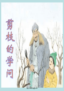 26《剪枝的学问》课件PPT