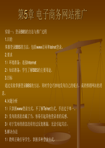 电子商务网站推广(1)