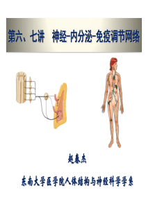 神经、内分泌与免疫调节网络