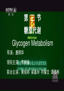 糖原合成与分解
