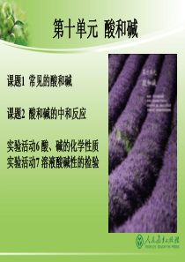 人教版化学九年级下册第十单元 课题1 常见的酸和碱 优质课件 (共52张PPT)