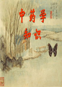 中药学基础知识