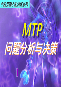 美丽的(问题分析与决策PPT模板