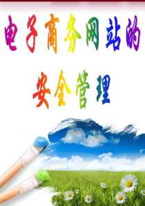 电子商务网站的安全管理