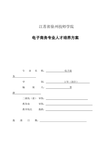 2016电子商务(初中)人才培养方案