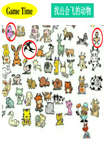 阅读理解之细节理解2018.4.23