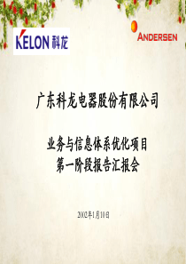 某公司业务和信息诊断报告(PPT-140页)