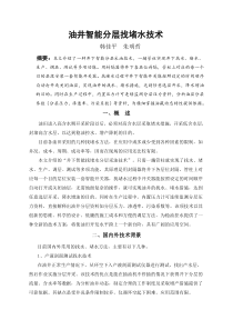 油井智能分层找堵水技术