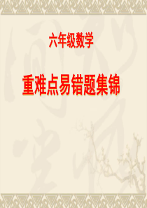 六年级数学重难点易错题集锦dcx-(1)