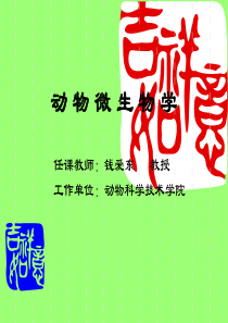 4动物微生物(第三章)