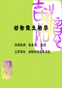 8动物微生物(真菌)