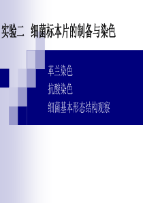 2-6动物微生物--细菌标本片的制备与染色(实验二)