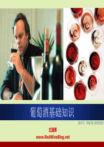 葡萄酒基础知识-10.6.12