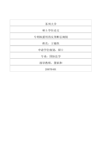 专利权滥用的反垄断法规制