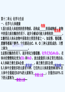 九年级化学-第十二单元化学与生活-人教版