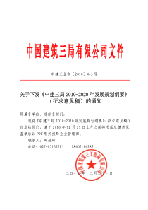 02-中建三局2010-2020年发展规划纲要介绍