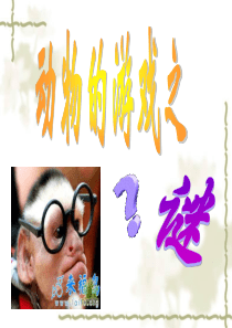 《动物游戏之谜》优秀课件